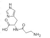 L-肌肽 L-Carnosine305-84-0