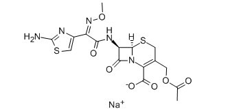 头孢霉素/噻孢霉素 Cefotaxime sodium salt64485-93-4