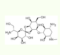 潮霉素B溶液 (溶液50mg/ml)  Hygromycin B(溶液50mg/ml)  31282-04-9