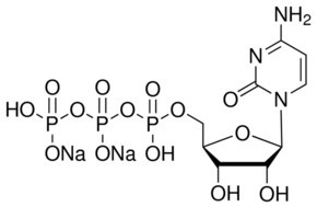 CTP(5'-三磷酸胞苷二钠盐) CTP disodium salt; Cytidine-5‘-triphosphate disodium salt36051-68-0