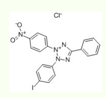 碘硝基四唑紫  INT dye  146-68-9