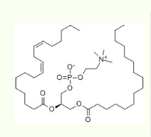 大豆卵磷脂  Lecithin (L-a-Phosphatidylchoine(Soy))  8002-43-51