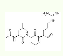 亮抑酶肽  Leupeptin  103476-89-7