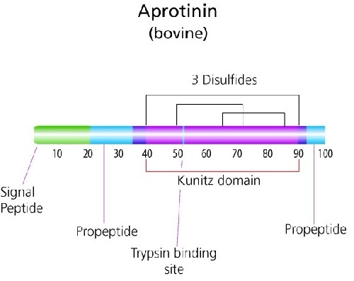 抑肽酶/蛋白酶抑制剂  Aprotinin  9087-70-1
