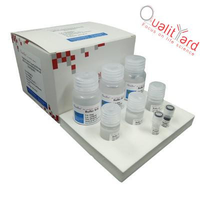 無內毒素質粒小提試劑盒 EndoFree Plasmid MiniPrep Kit