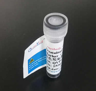 彩色预染蛋白Marker（10-180kDa）Prestained Color Protein Marker（10-180kDa）